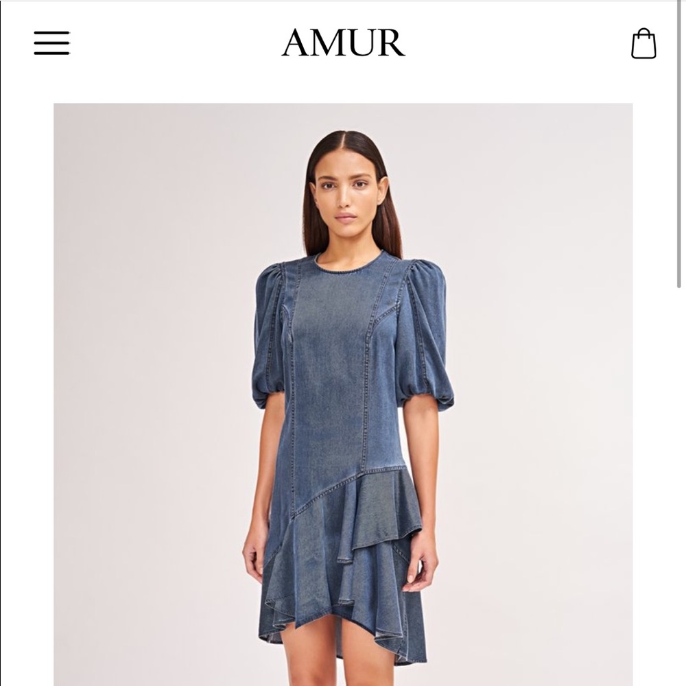 Amur Dress New With Tags
